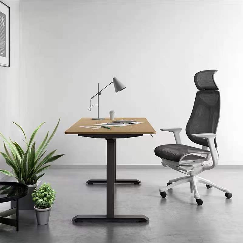 Dual Motor 2 Stage Electric Standing Desk / 2 Legs